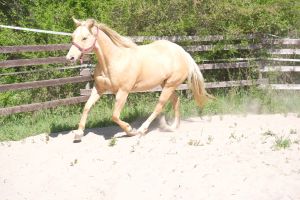 DSCF7061.JPG